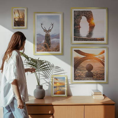 Conjunto de 5 quadros com moldura Animais selvagens da natureza em harmonia