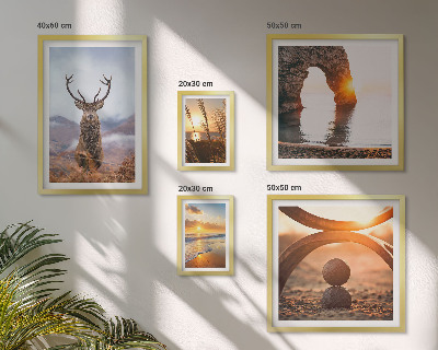 Conjunto de 5 quadros com moldura Animais selvagens da natureza em harmonia
