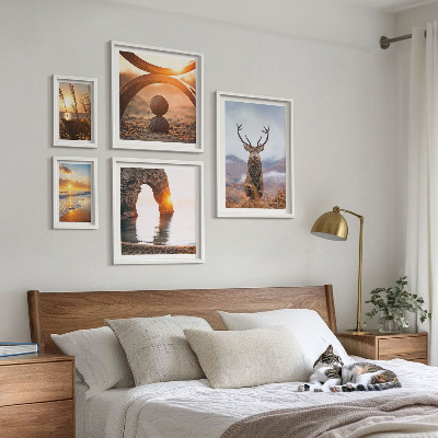 Conjunto de 5 quadros com moldura Animais selvagens da natureza em harmonia