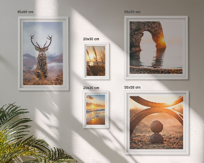 Conjunto de 5 quadros com moldura Animais selvagens da natureza em harmonia