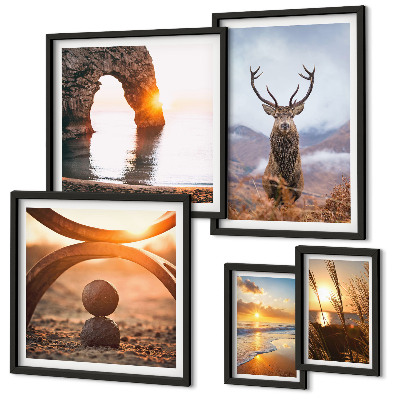 Conjunto de 5 quadros com moldura Animais selvagens da natureza em harmonia