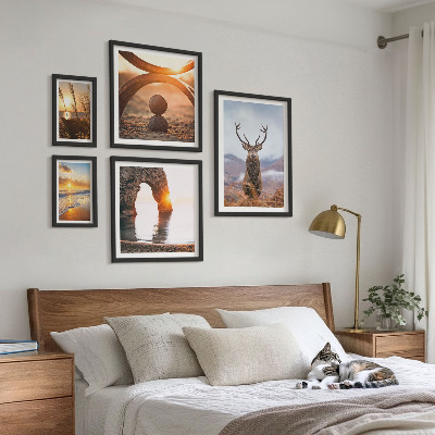Conjunto de 5 quadros com moldura Animais selvagens da natureza em harmonia