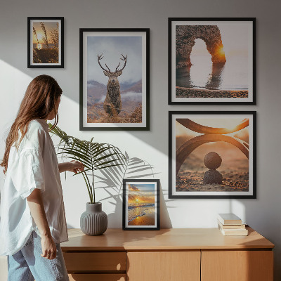 Conjunto de 5 quadros com moldura Animais selvagens da natureza em harmonia