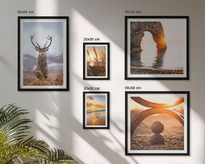 Conjunto de 5 quadros com moldura Animais selvagens da natureza em harmonia