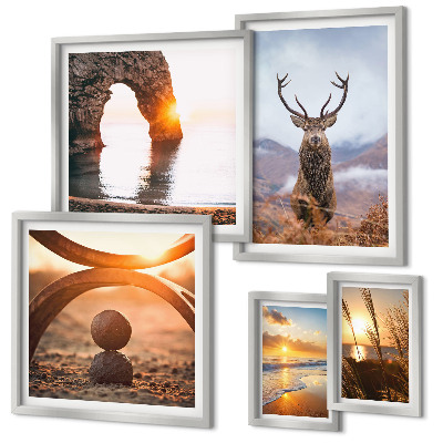 Conjunto de 5 quadros com moldura Animais selvagens da natureza em harmonia