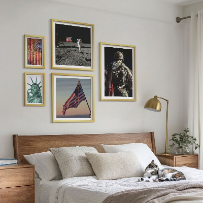 Conjunto de 5 quadros decorativos Simbolismo americano da história