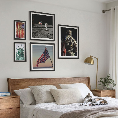 Conjunto de 5 quadros decorativos Simbolismo americano da história