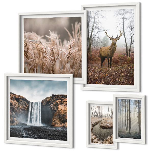 Parede galeria de quadros paisagens da vida selvagem