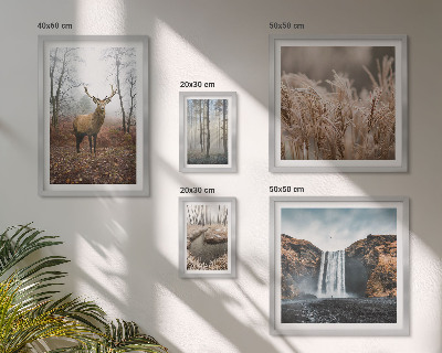 Parede galeria de quadros paisagens da vida selvagem