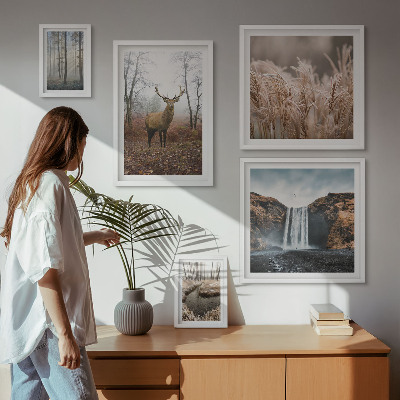 Parede galeria de quadros paisagens da vida selvagem
