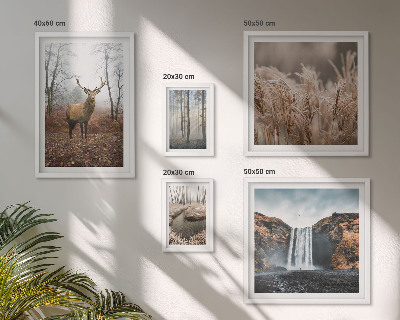 Parede galeria de quadros paisagens da vida selvagem