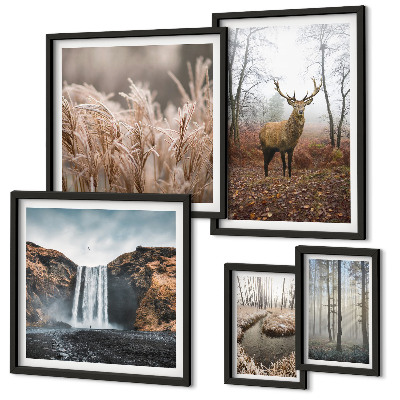 Parede galeria de quadros paisagens da vida selvagem