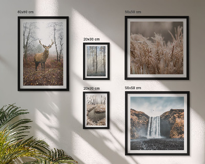 Parede galeria de quadros paisagens da vida selvagem