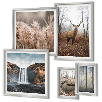 Parede galeria de quadros paisagens da vida selvagem
