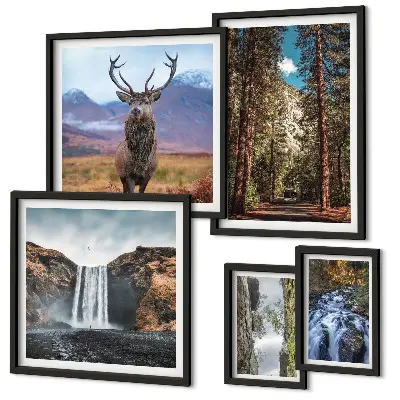 Galeria de quadros para parede com paisagens, cachoeiras e natureza