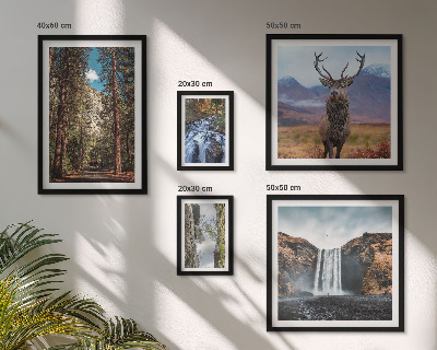 Parede galeria de quadros Paisagens, cachoeiras, natureza