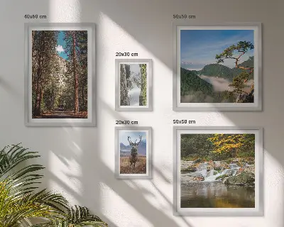 Conjunto de 5 quadros com moldura com temática de paisagens montanhosas e natureza selvagem