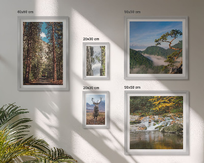Conjunto de 5 quadros com moldura Paisagens montanhosas e natureza selvagem