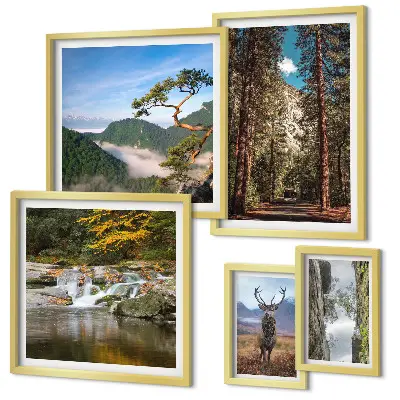 Conjunto de 5 quadros com moldura com temática de paisagens montanhosas e natureza selvagem