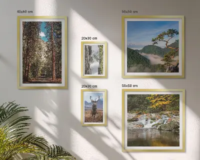 Conjunto de 5 quadros com moldura com temática de paisagens montanhosas e natureza selvagem