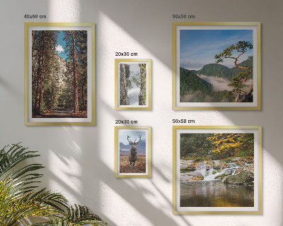 Conjunto de 5 quadros com moldura Paisagens montanhosas e natureza selvagem