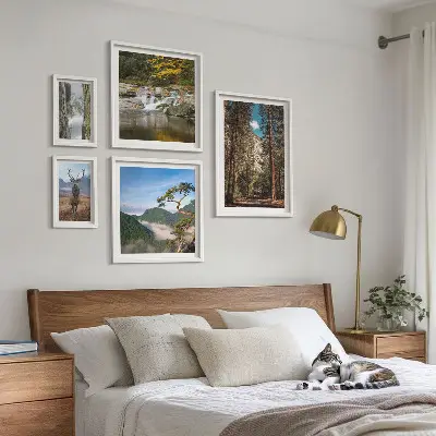 Conjunto de 5 quadros com moldura com temática de paisagens montanhosas e natureza selvagem