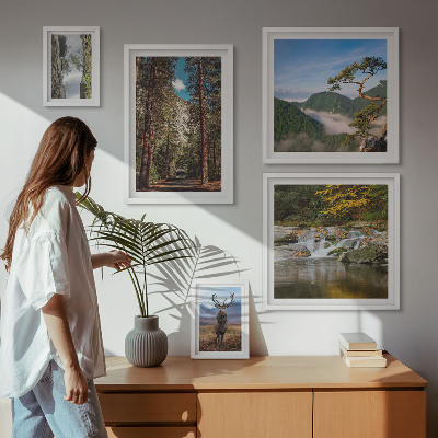 Conjunto de 5 quadros com moldura Paisagens montanhosas e natureza selvagem