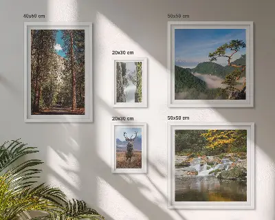 Conjunto de 5 quadros com moldura com temática de paisagens montanhosas e natureza selvagem