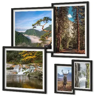Conjunto de 5 quadros com moldura com temática de paisagens montanhosas e natureza selvagem
