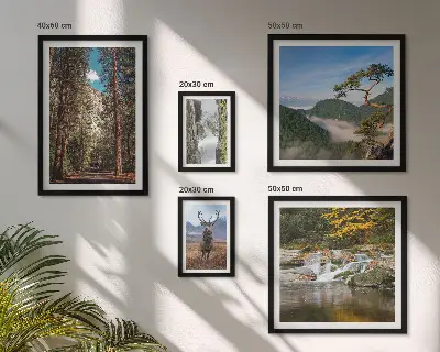 Conjunto de 5 quadros com moldura com temática de paisagens montanhosas e natureza selvagem