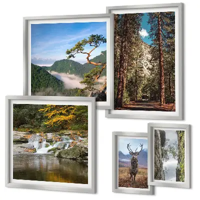 Conjunto de 5 quadros com moldura com temática de paisagens montanhosas e natureza selvagem