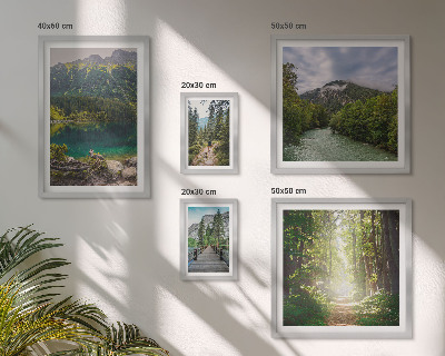 Conjunto de 5 quadros decorativos Paisagens montanhosas e trilhas na floresta