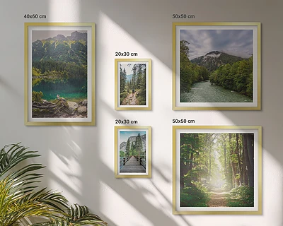 Conjunto de 5 quadros decorativos com paisagens de montanhas e trilhas na floresta