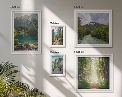 Conjunto de 5 quadros decorativos com paisagens de montanhas e trilhas na floresta