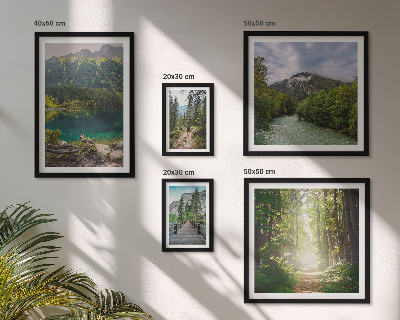 Conjunto de 5 quadros decorativos Paisagens montanhosas e trilhas na floresta