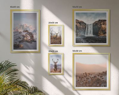 Conjunto de 5 quadros decorativos Paisagens montanhosas, animais selvagens