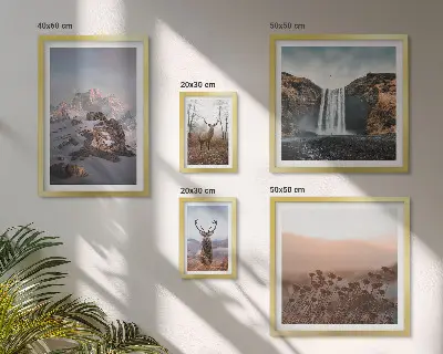 Conjunto de 5 quadros decorativos paisagens montanhosas e animais selvagens