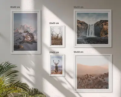 Conjunto de 5 quadros decorativos paisagens montanhosas e animais selvagens