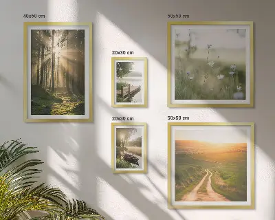 Conjunto de 5 quadros decorativos com paisagens de florestas, sol e água