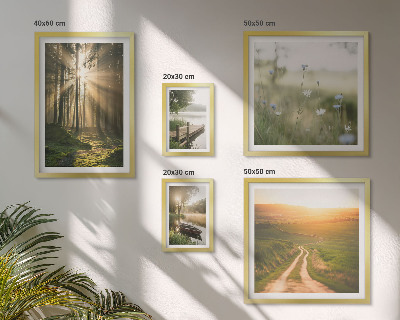 Conjunto de 5 quadros decorativos Paisagens florestais, sol, água