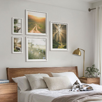 Conjunto de 5 quadros decorativos Paisagens florestais, sol, água
