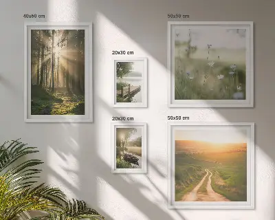 Conjunto de 5 quadros decorativos com paisagens de florestas, sol e água