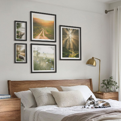 Conjunto de 5 quadros decorativos Paisagens florestais, sol, água