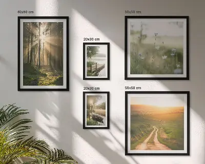 Conjunto de 5 quadros decorativos com paisagens de florestas, sol e água