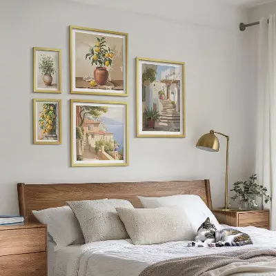Galeria de parede plantas de rua elegantes para interiores