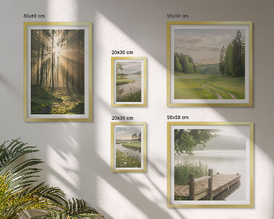 Parede galeria de quadros Paisagens florestais, sol, água