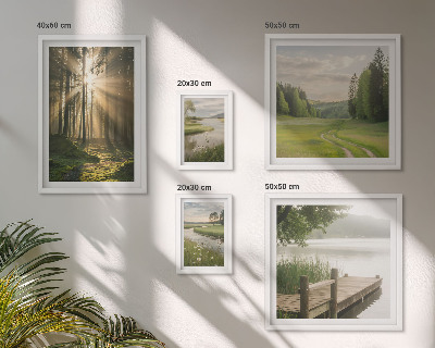 Parede galeria de quadros Paisagens florestais, sol, água