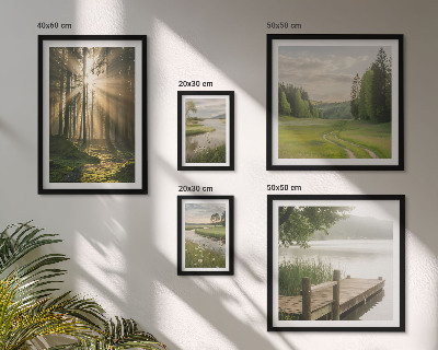Parede galeria de quadros Paisagens florestais, sol, água