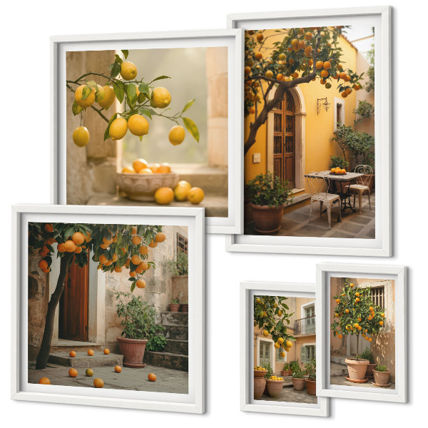 Conjunto de 5 quadros decorativos Frutas cítricas no jardim