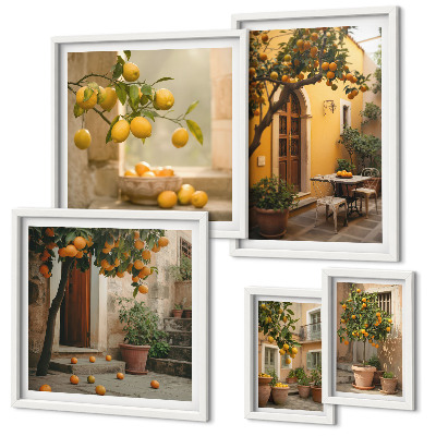 Conjunto de 5 quadros decorativos Frutas cítricas no jardim